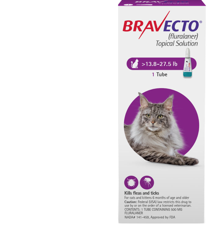 Bravecto topical solution for cats