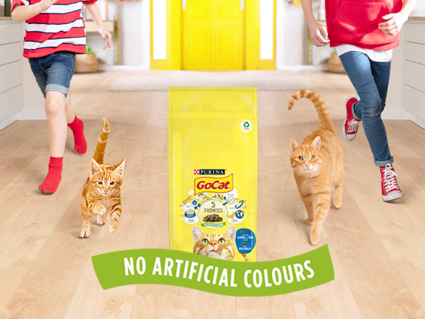 PURINA Go-Cat Indoor Chicken & Turkey and Vegetables 2kg Sucipetshop