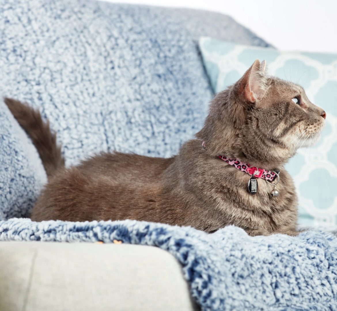 Max & Molly Smart ID Cat Collar - Leopard Pink Sucipetshop