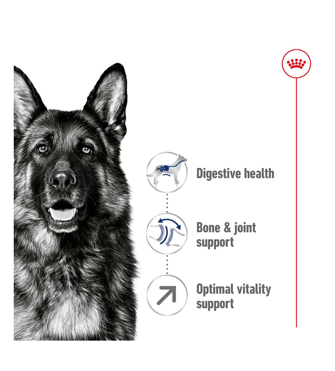 Royal Canin Maxi Dry Adult 5+ Dog Food 15kg Sucipetshop