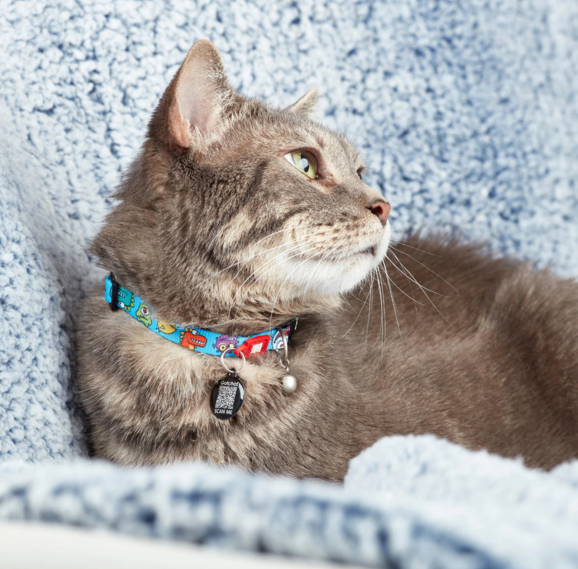 Max &Molly Smart ID Cat Collar Little Monsters Sucipetshop