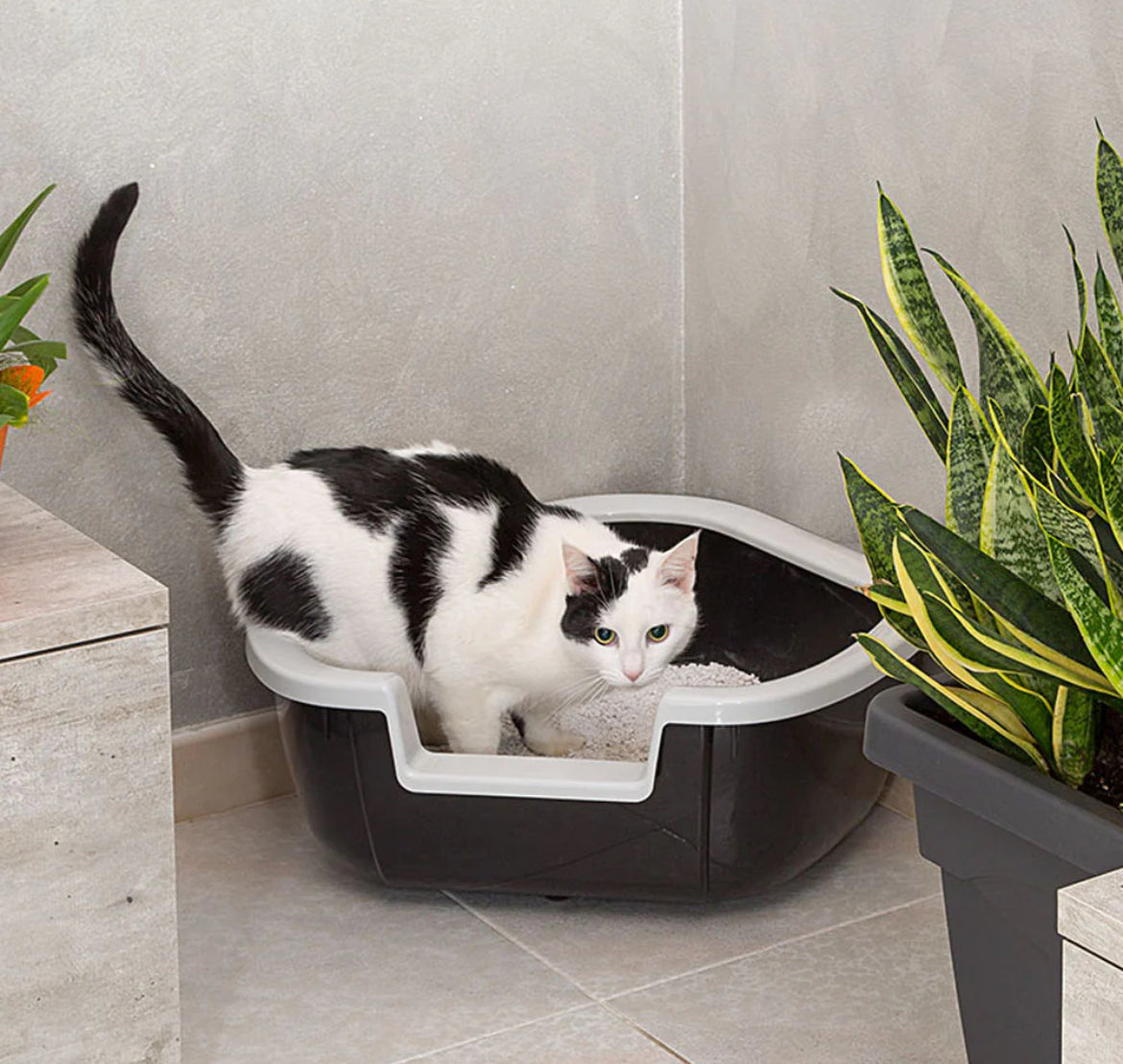 Ferplast Corner Cat Litter Box Sucipetshop