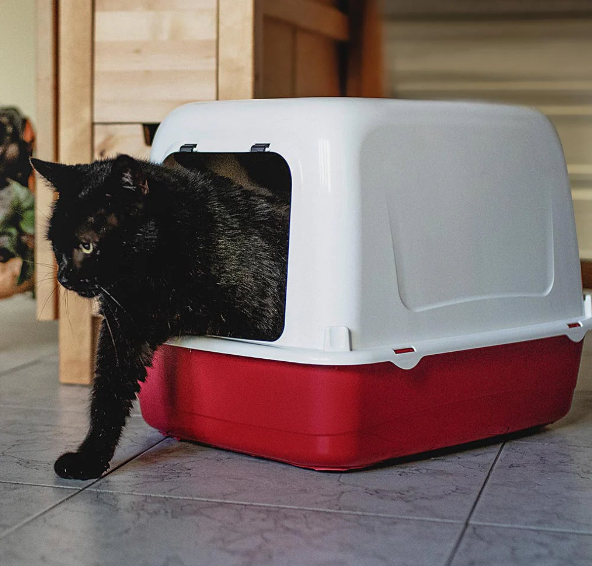 ARIEL HOME CAT LITTER BOX Sucipetshop