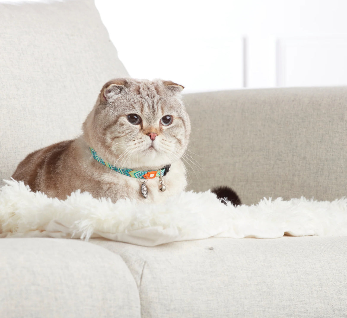 Max & Molly Smart ID Cat Collar - Vintage Sucipetshop