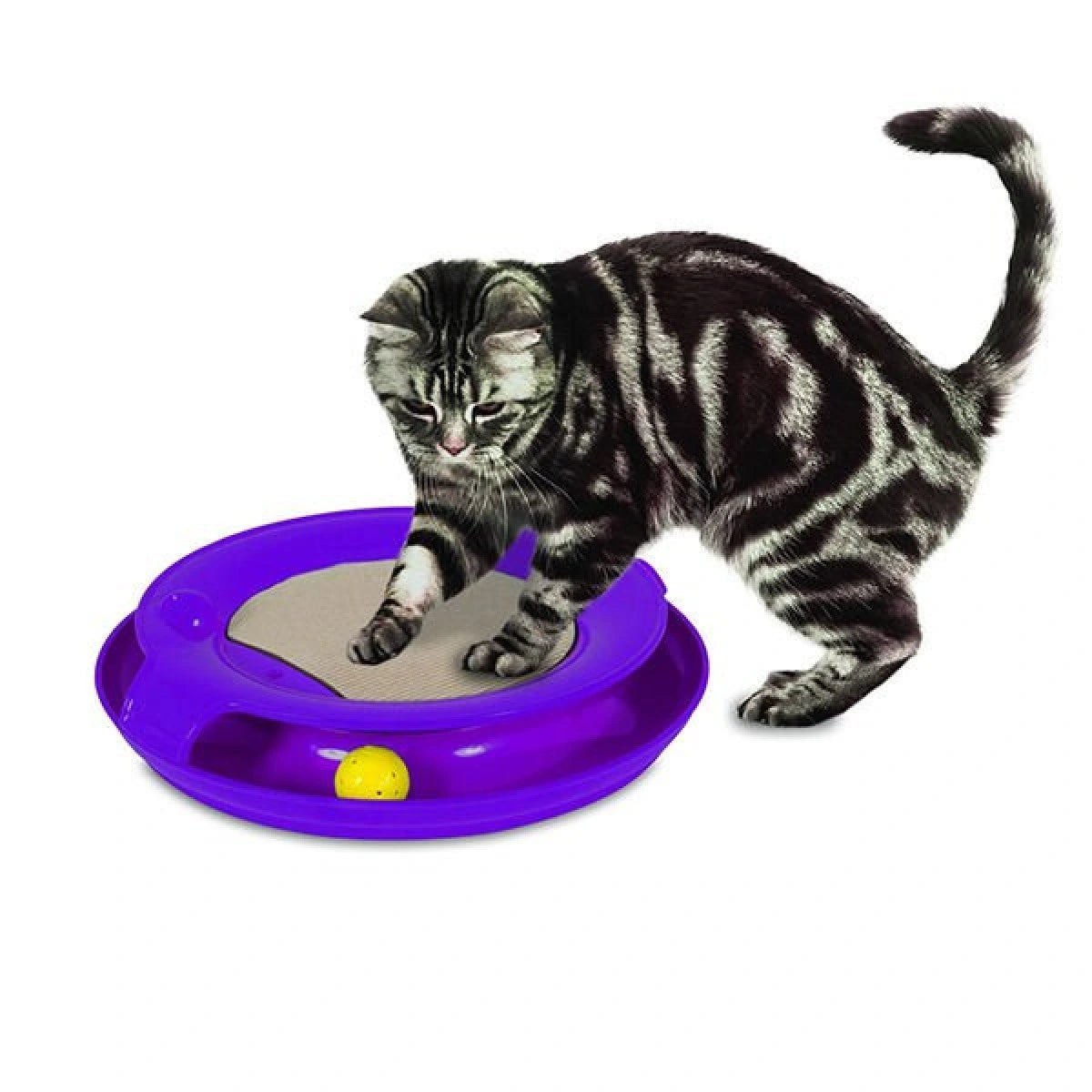 Jackson Galaxy Spiral Cat Toy Sucipetshop