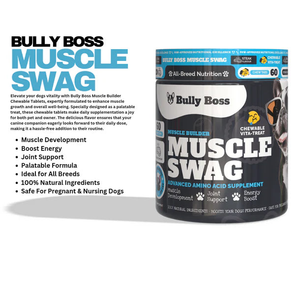 BULLY BOSS MUSCLE SWAG Sucipetshop