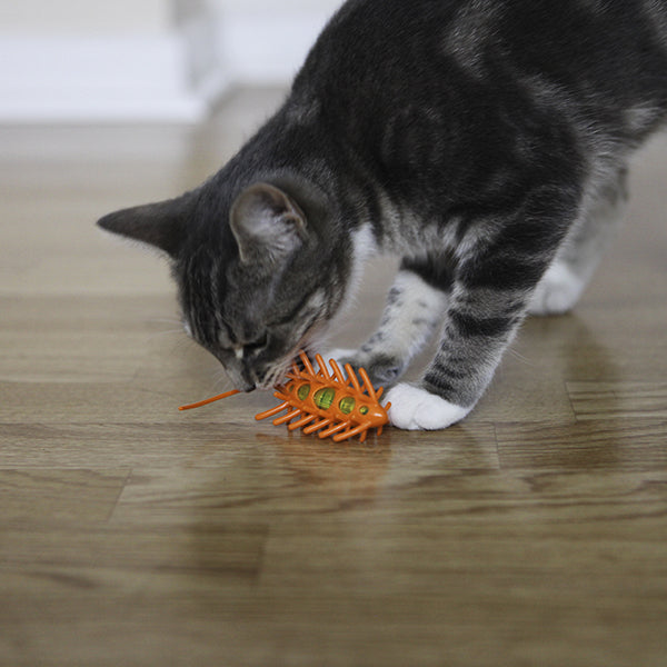 Moto Mouse Hunt & Catch Cat Toy Sucipetshop