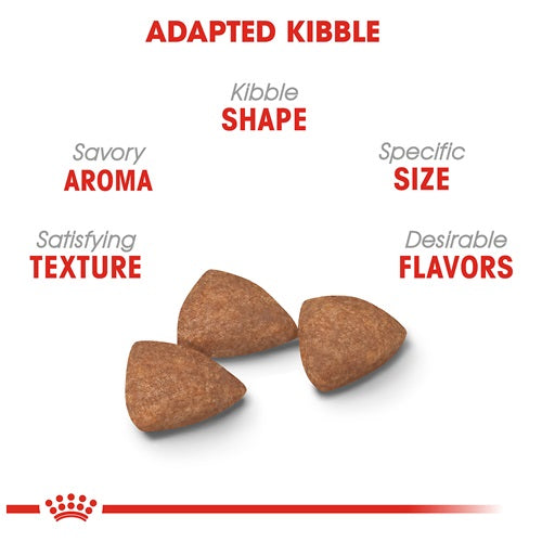 Royal Canin Mini Indoor Adult Dry Food Sucipetshop