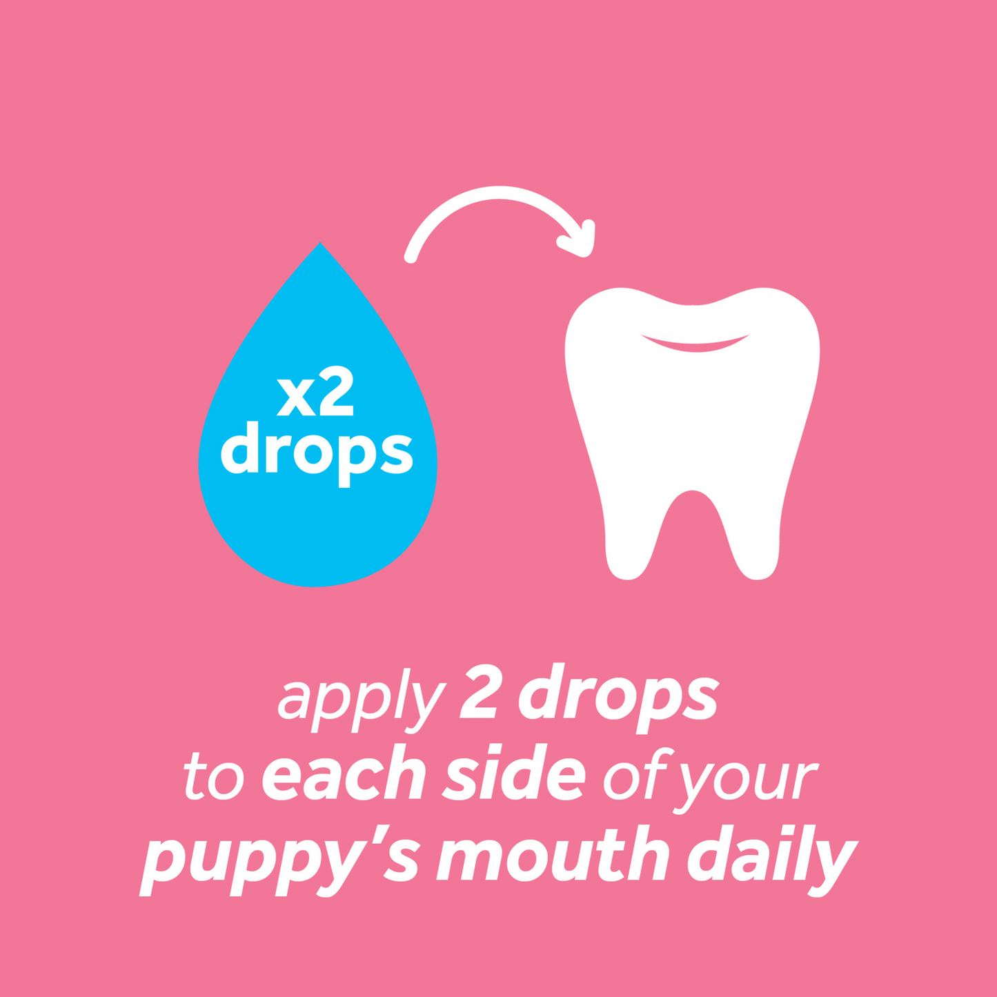 ORAL CARE BRUSHING GEL FOR PUPPIES Sucipetshop