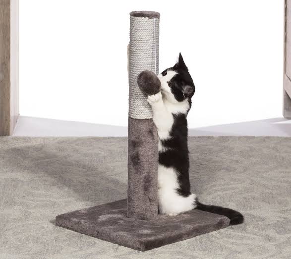 Sucipetshop.com Kitty Power Paws Play Pole & Scratcher