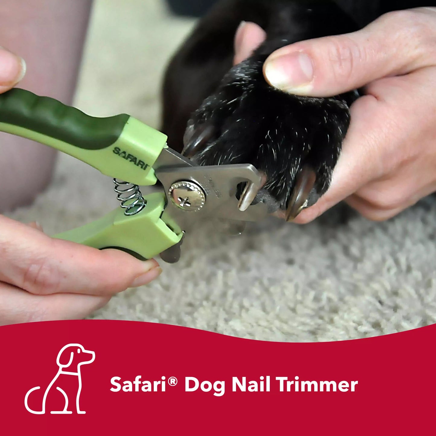 Safari by Coastal Professional Dog Nail Trimmer Sucipetshop