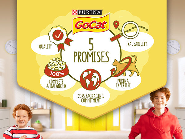 PURINA Go-Cat Indoor Chicken & Turkey and Vegetables 2kg Sucipetshop