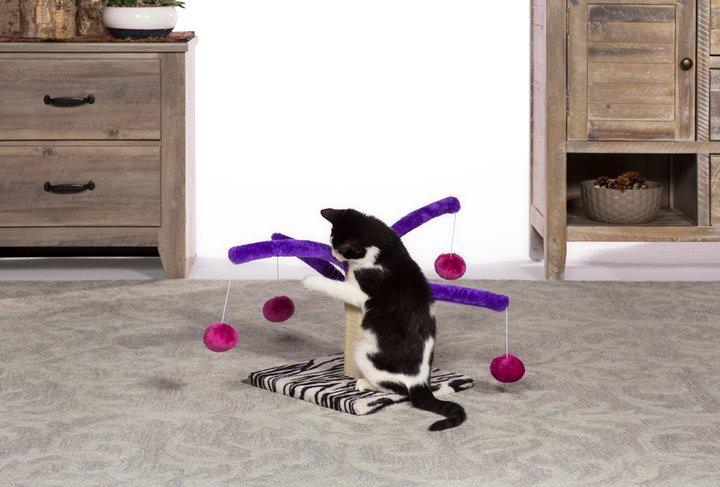 Bounce ‘n Spring Cat Scratcher