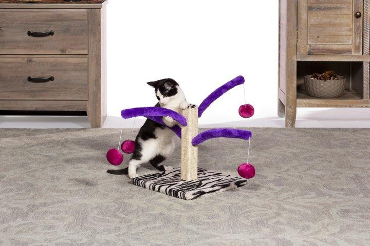 Bounce ‘n Spring Cat Scratcher