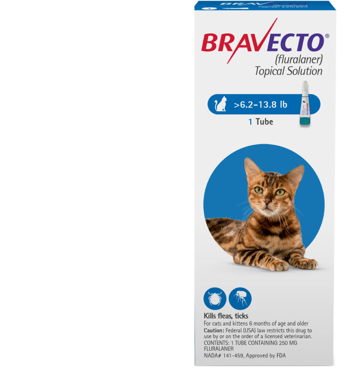 Bravecto for cat 