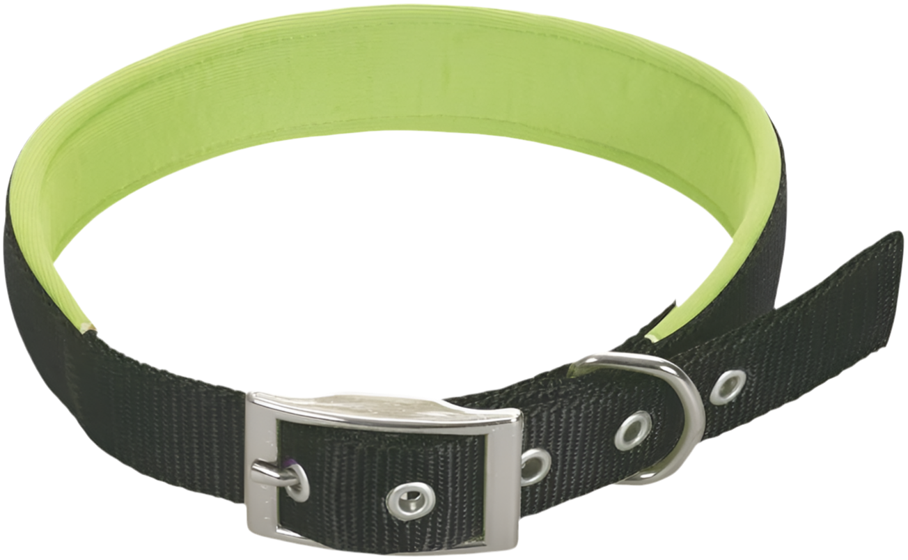 Animology Padded Buckled Dog Collar