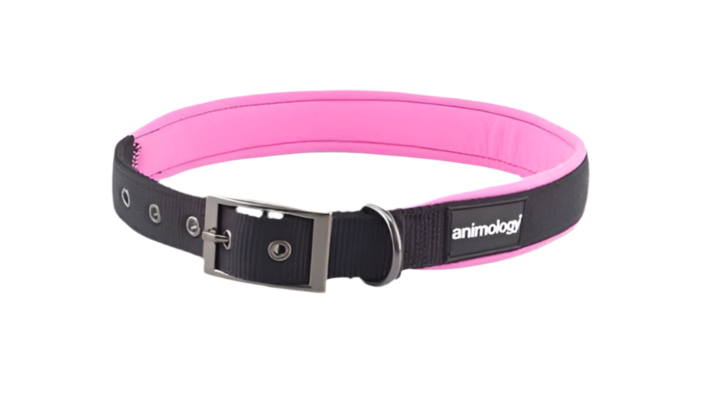 Animology Padded Buckled Dog Collar