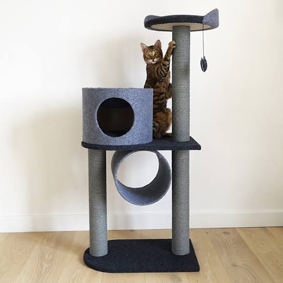 Rosewood Cat Scratcher Double Tower