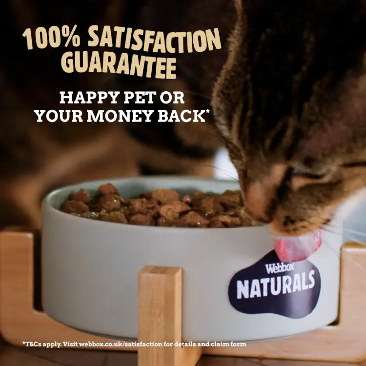 Webbox Naturals Fish & Meat in Jelly Wet Cat Food
