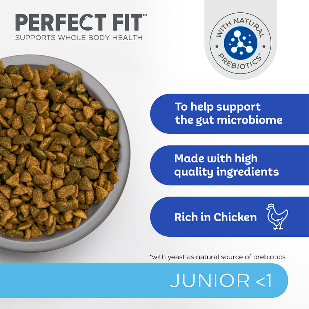 PERFECT FIT Junior Dry Cat Food Chicken 750g