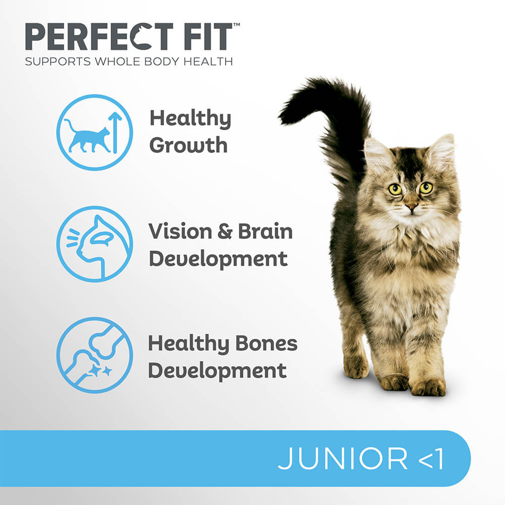 PERFECT FIT Junior Dry Cat Food Chicken 750g