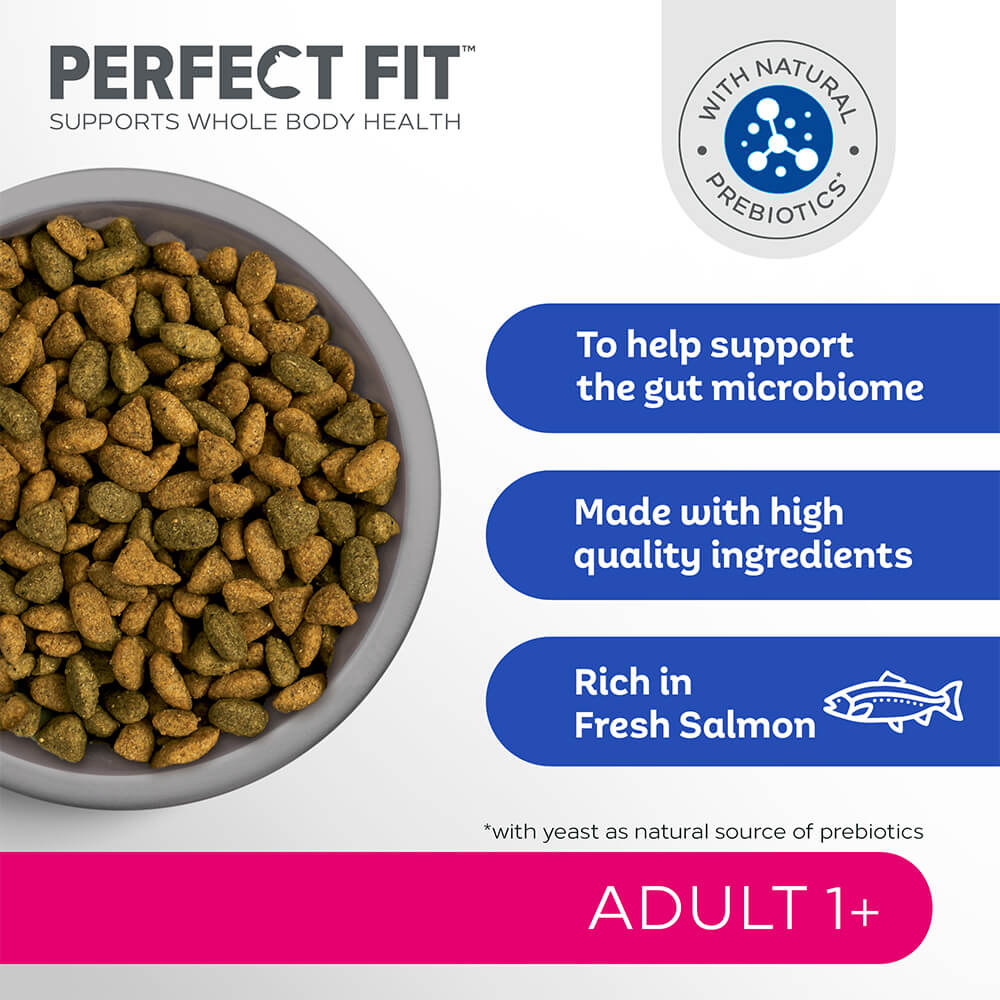 PERFECT FIT Adult Dry Cat Food Salmon 750g