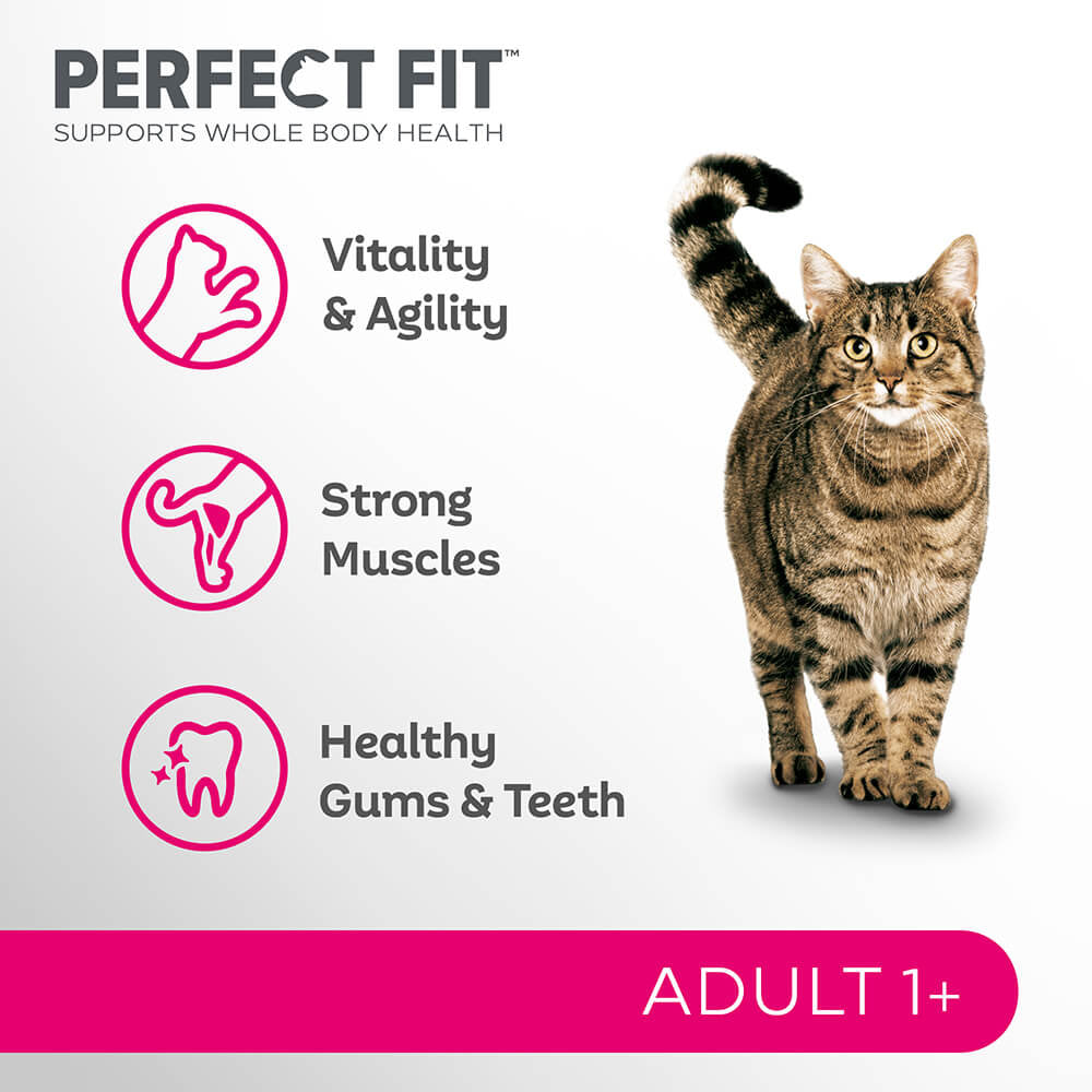 PERFECT FIT Adult Dry Cat Food Salmon 750g