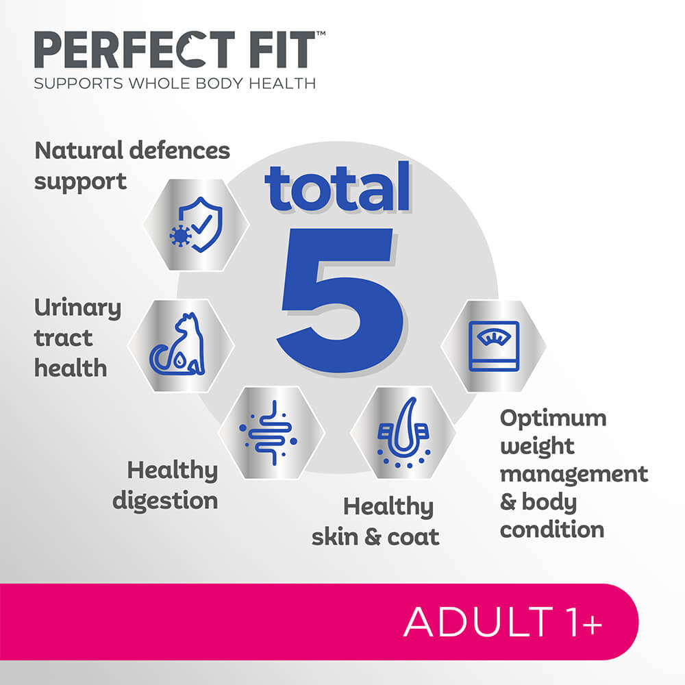 PERFECT FIT Adult Dry Cat Food Salmon 750g