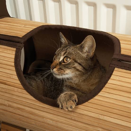 Rosewood Bamboo Radiator Bed