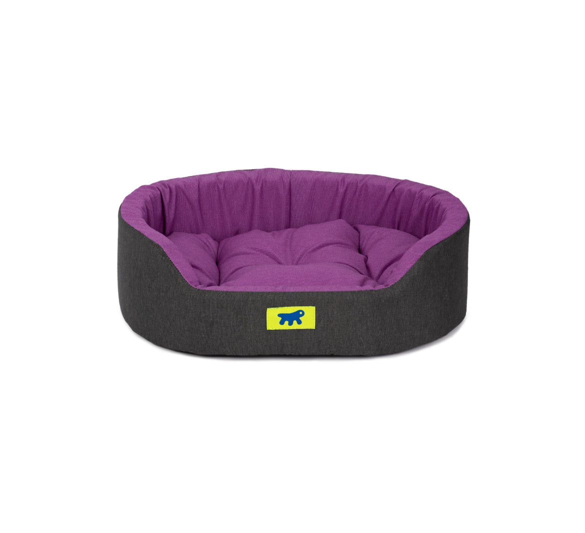 Dandy Cotton Bed For Small Dogs & Cats