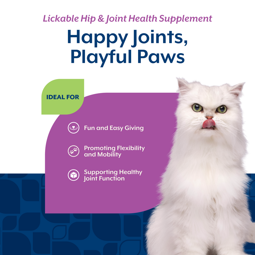 NaturVet Lickable Hip & Joint Health Supplement for Cats