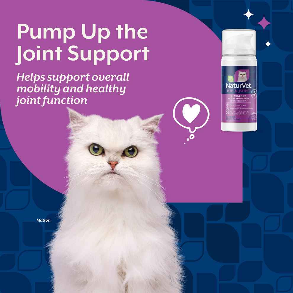 NaturVet Lickable Hip & Joint Health Supplement for Cats
