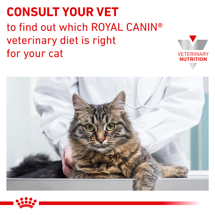 Cat being examined by a veterinarian with Royal Canin Veterinary Diet branding.